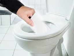 2023/230126wc.jpg