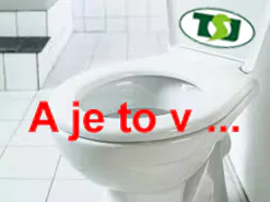 2023/230216TSJEwc3.webp